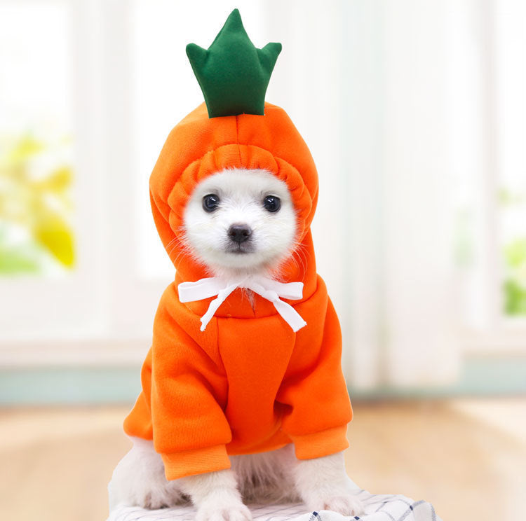 Cute Fruit Dog Hoodie - Winter Fleece