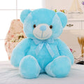 LED Light Up Teddy Bear Plush Toy